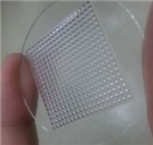 塑料3D細胞培養片C-Well